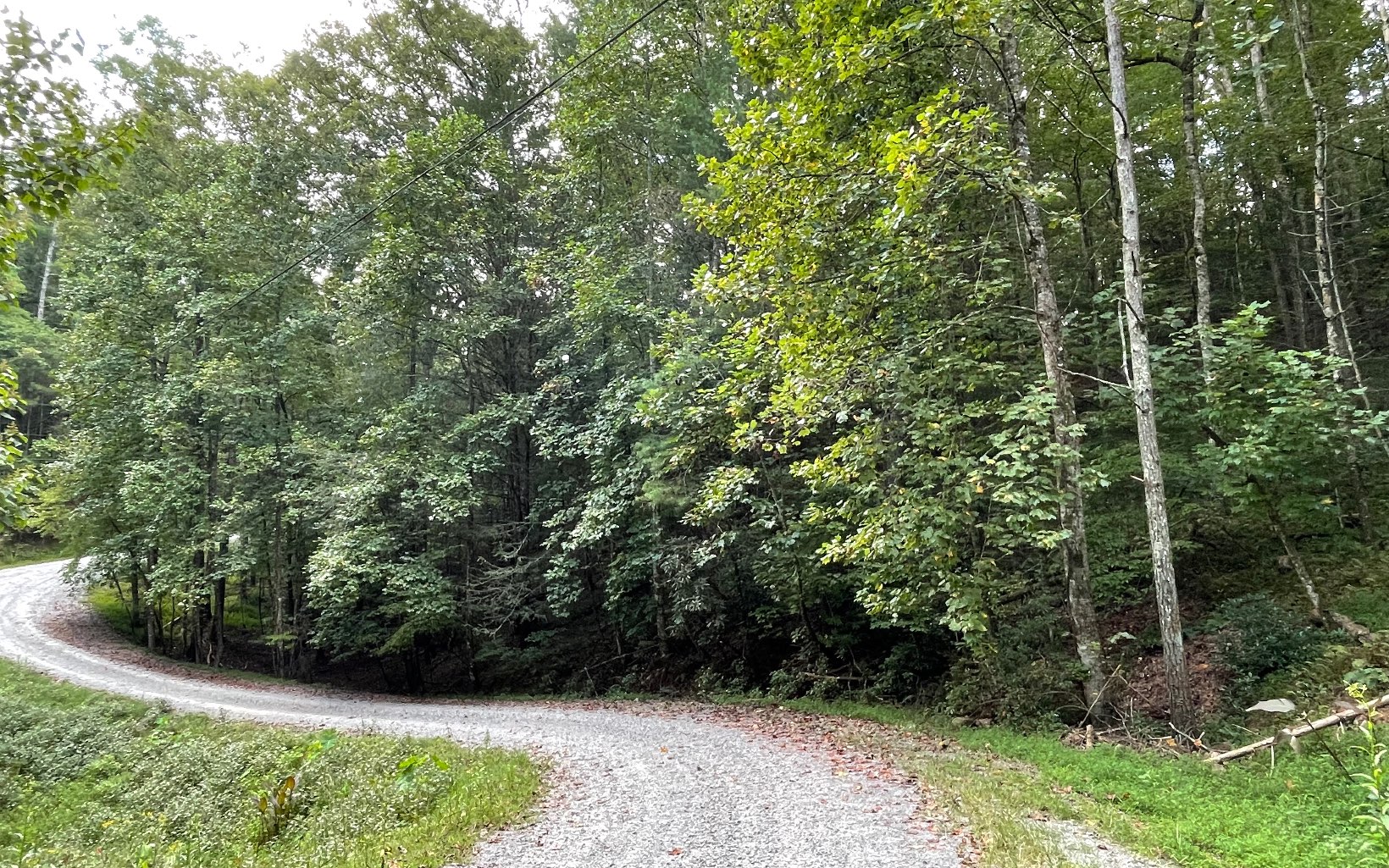 L3621 Fir Lane