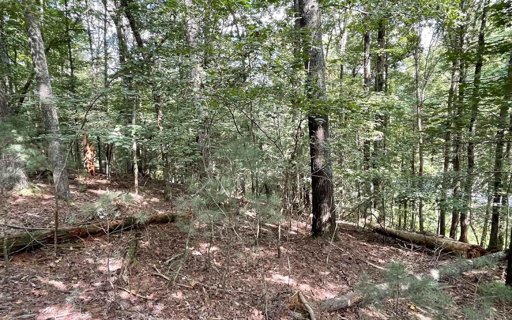 L3621 Fir Lane