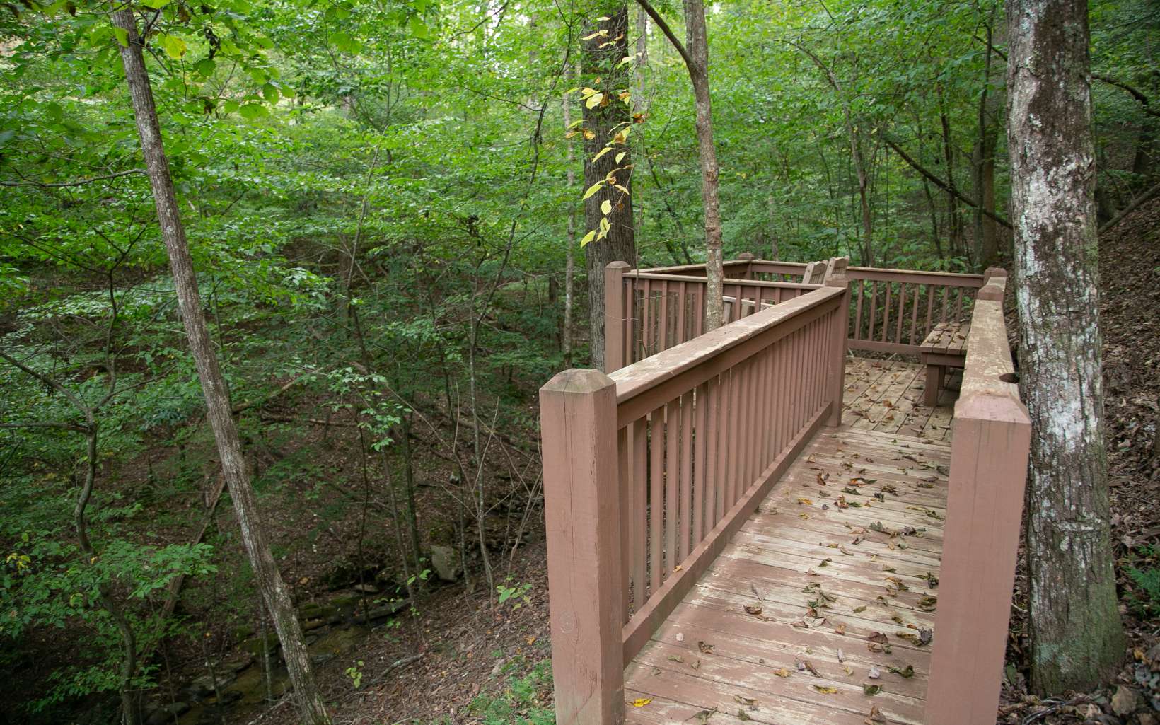 534 Cherokee Trail