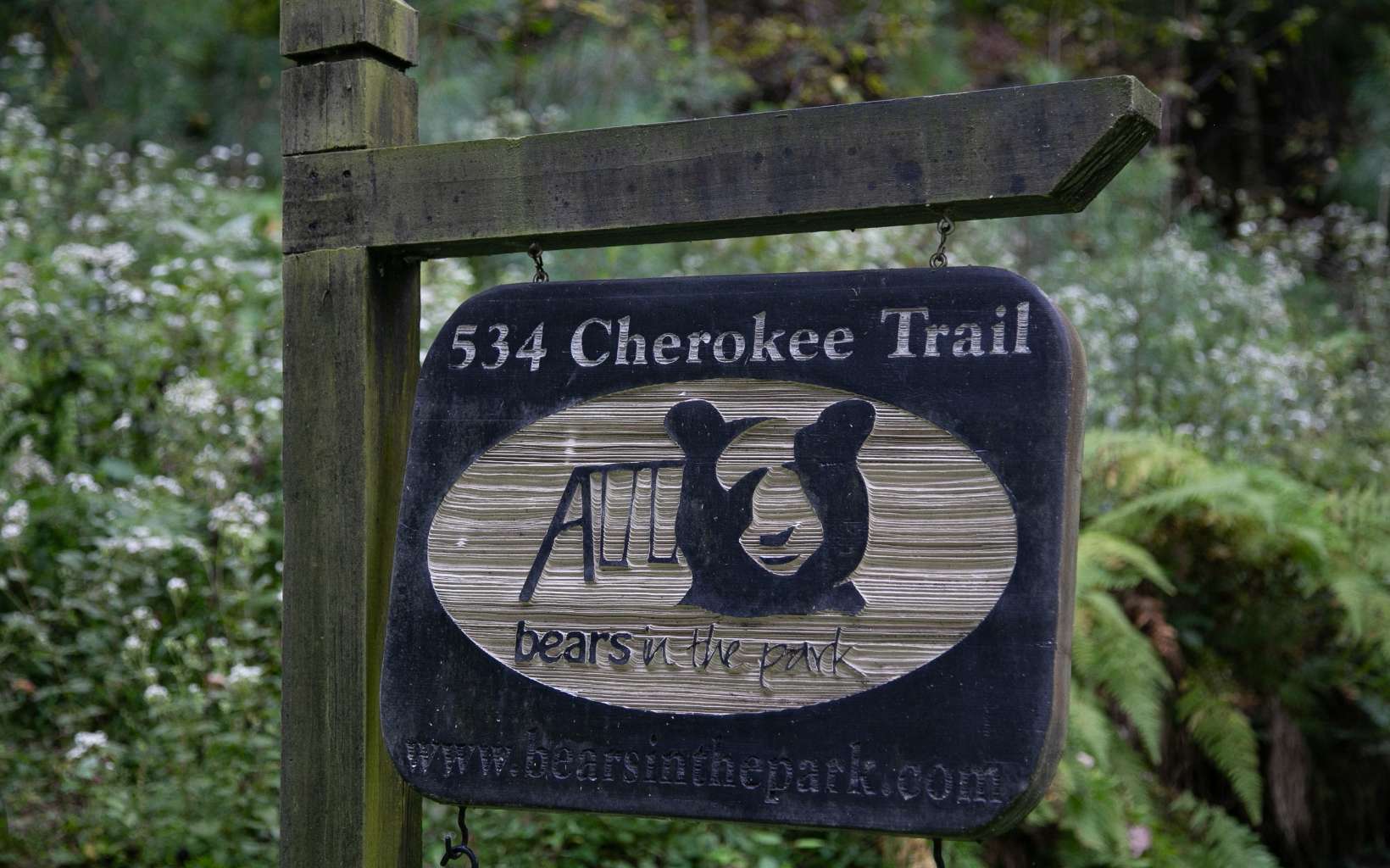 534 Cherokee Trail