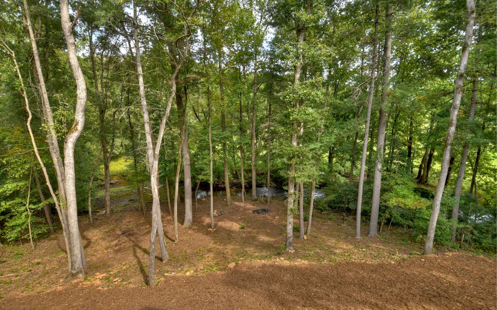 359 Tall Pines Drive