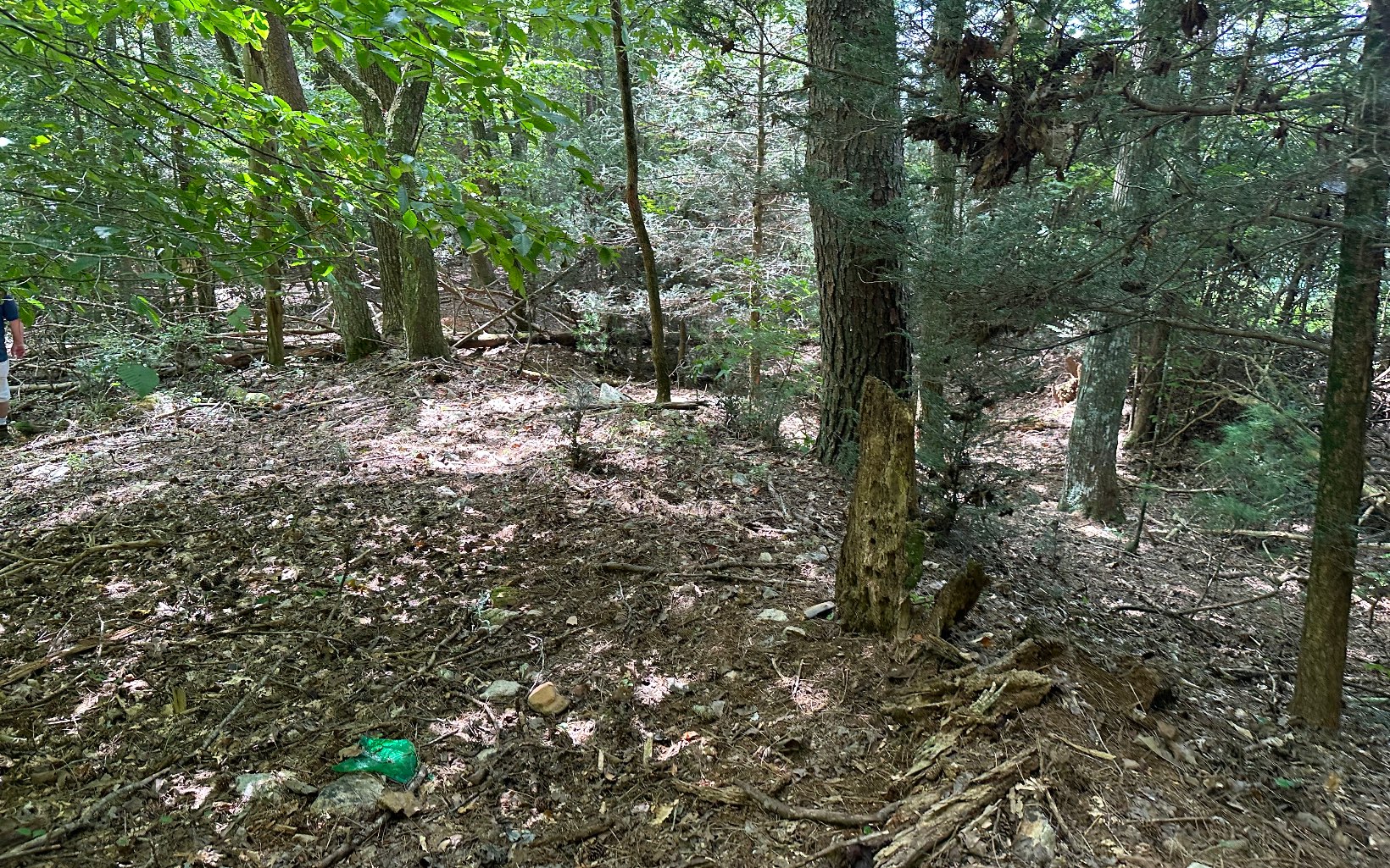 3.8 Big Creek Road