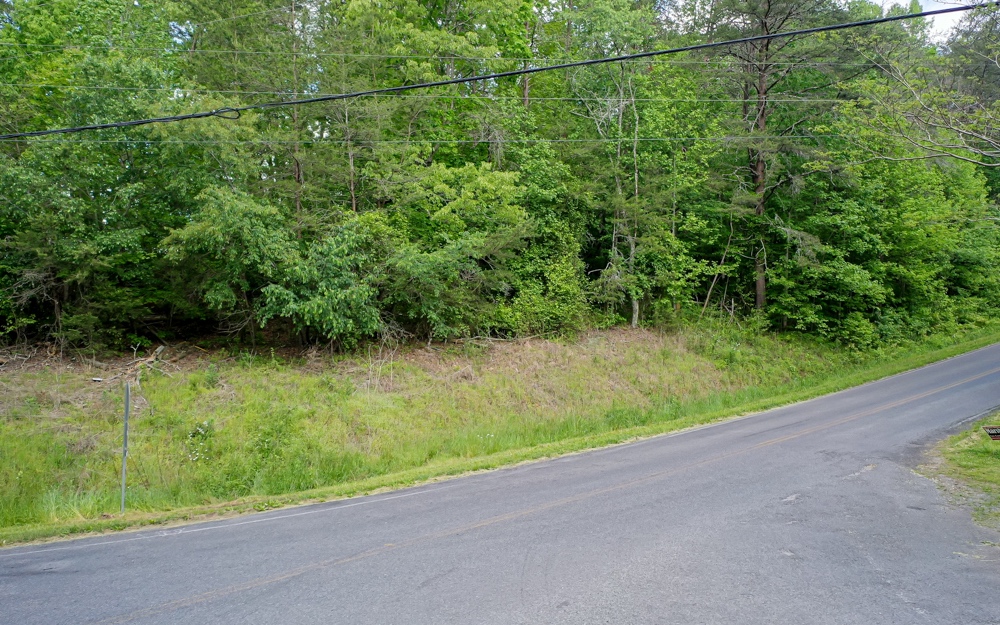 3.8 Big Creek Road