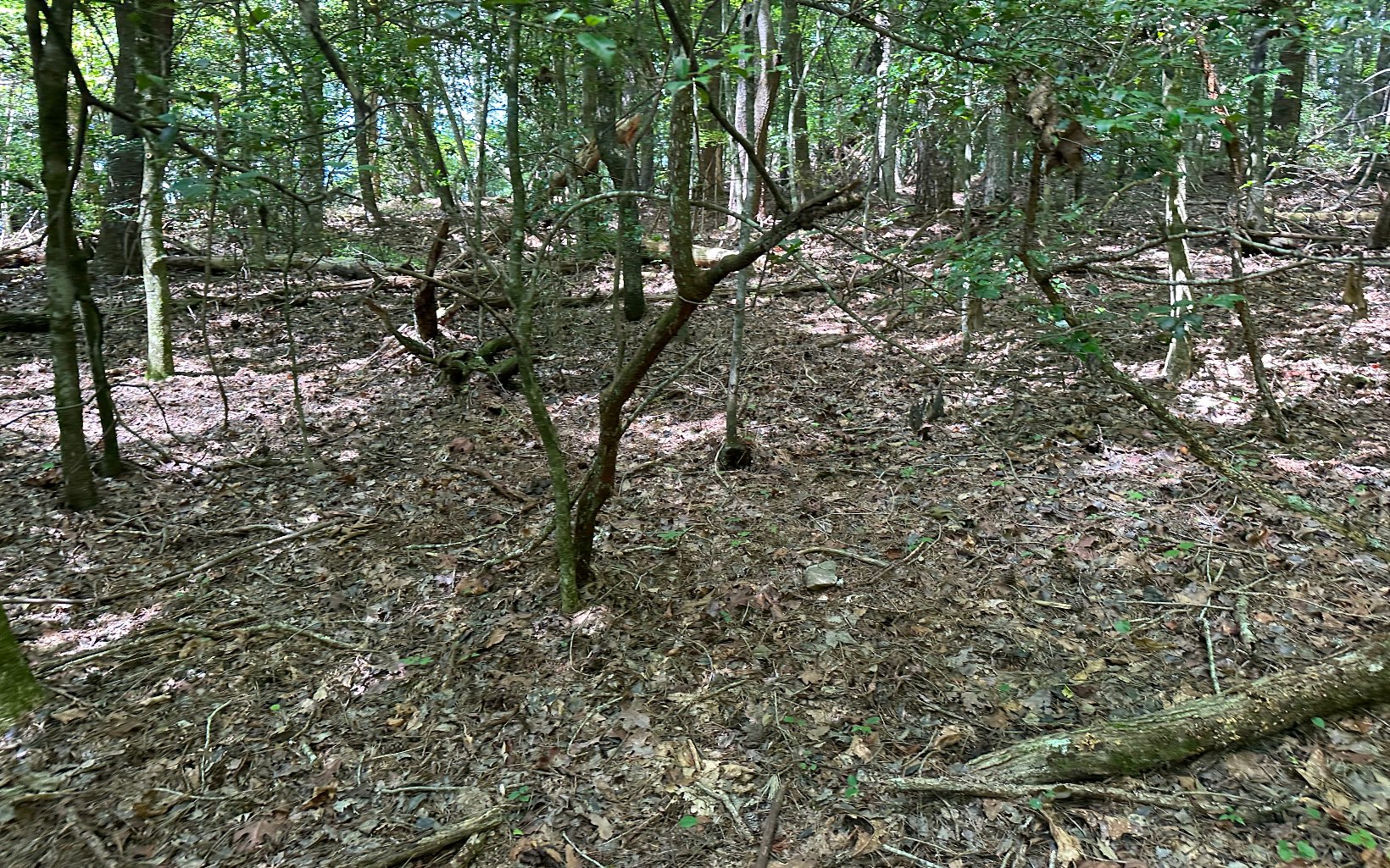 3.8 Big Creek Road