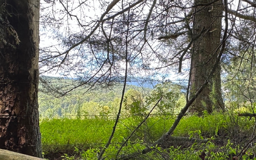 3.8 Big Creek Road