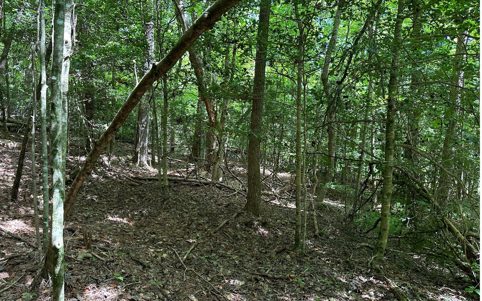 3.8 Big Creek Road