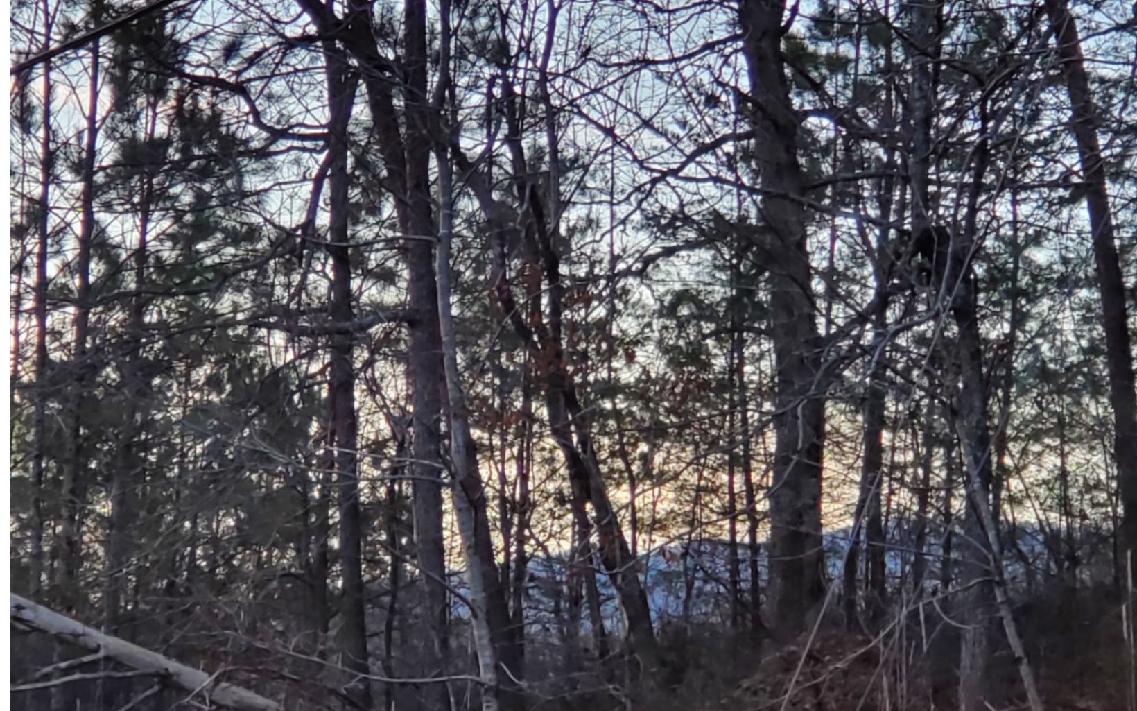 3.8 Big Creek Road