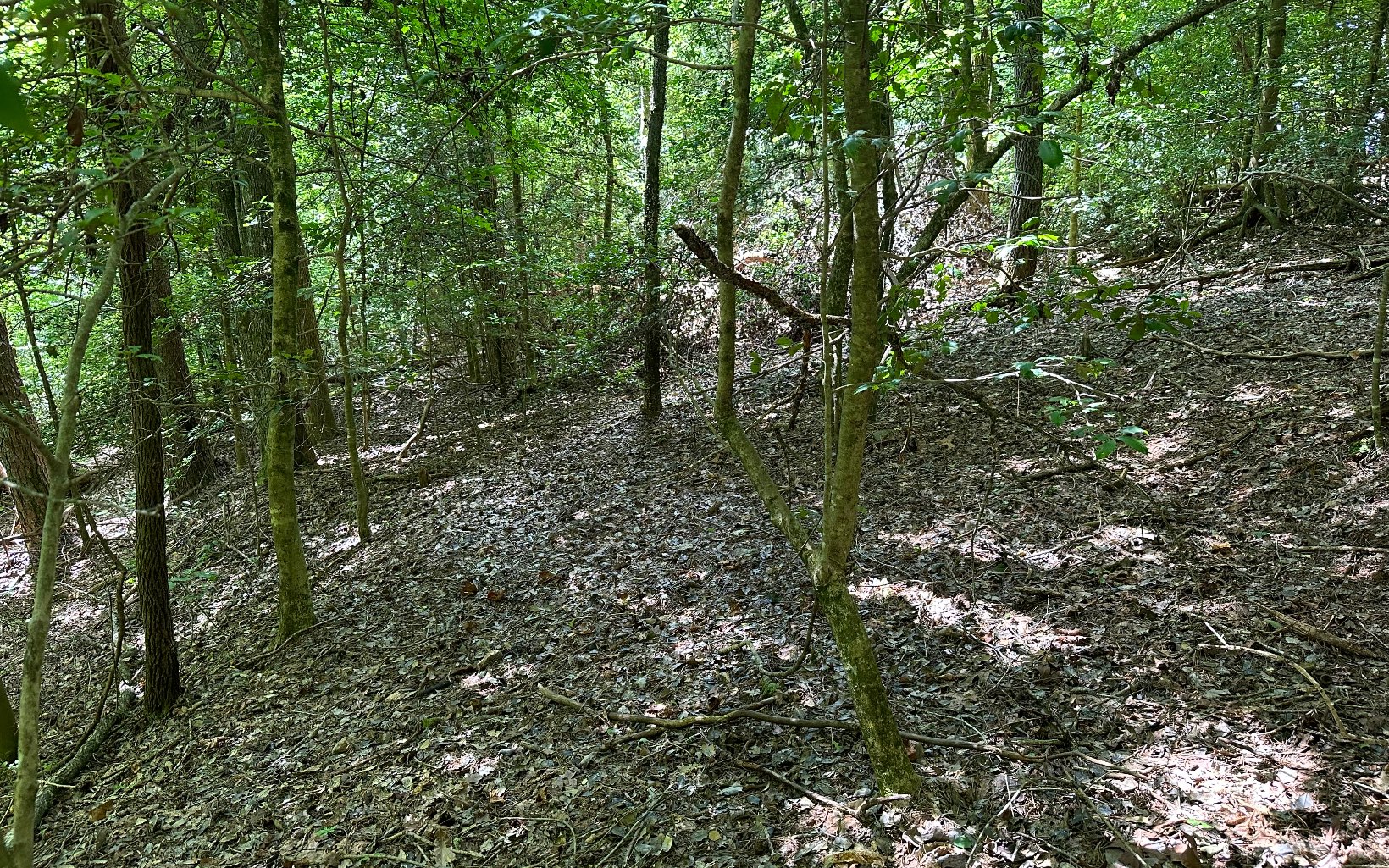 3.8 Big Creek Road