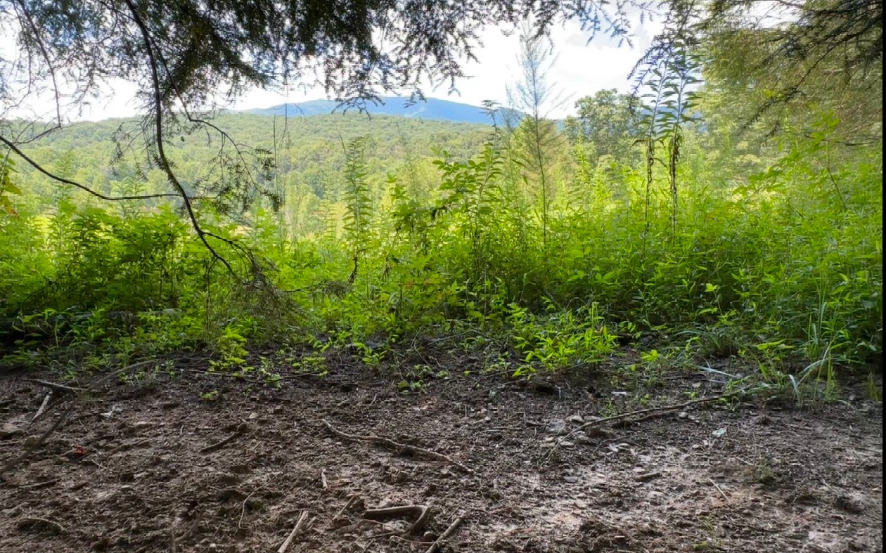 3.8 Big Creek Road
