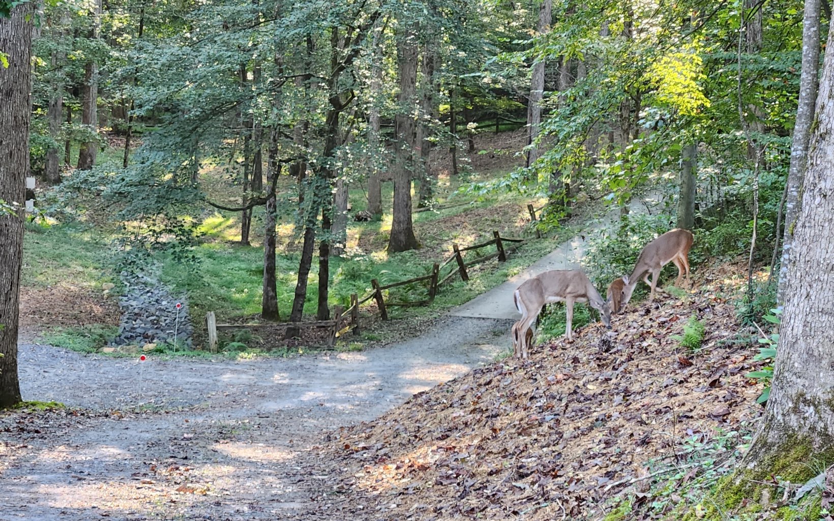 255 Licklog Road