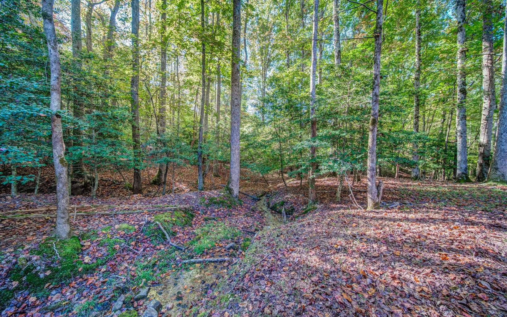 47 Aetna Way