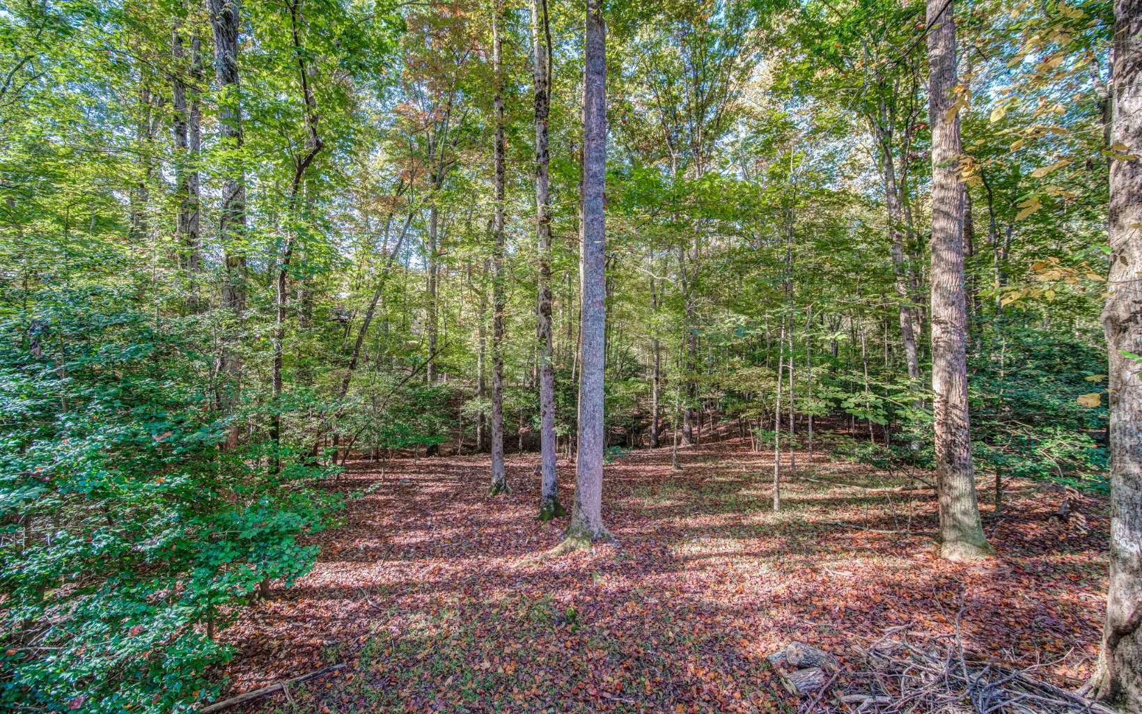 47 Aetna Way