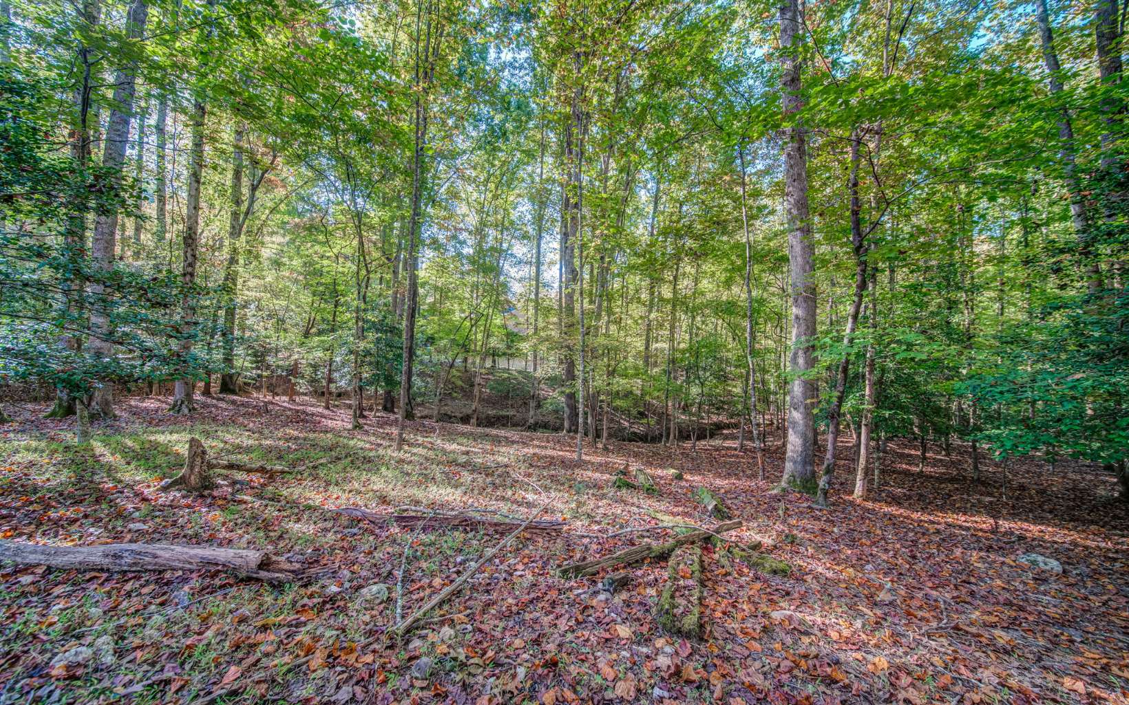 47 Aetna Way