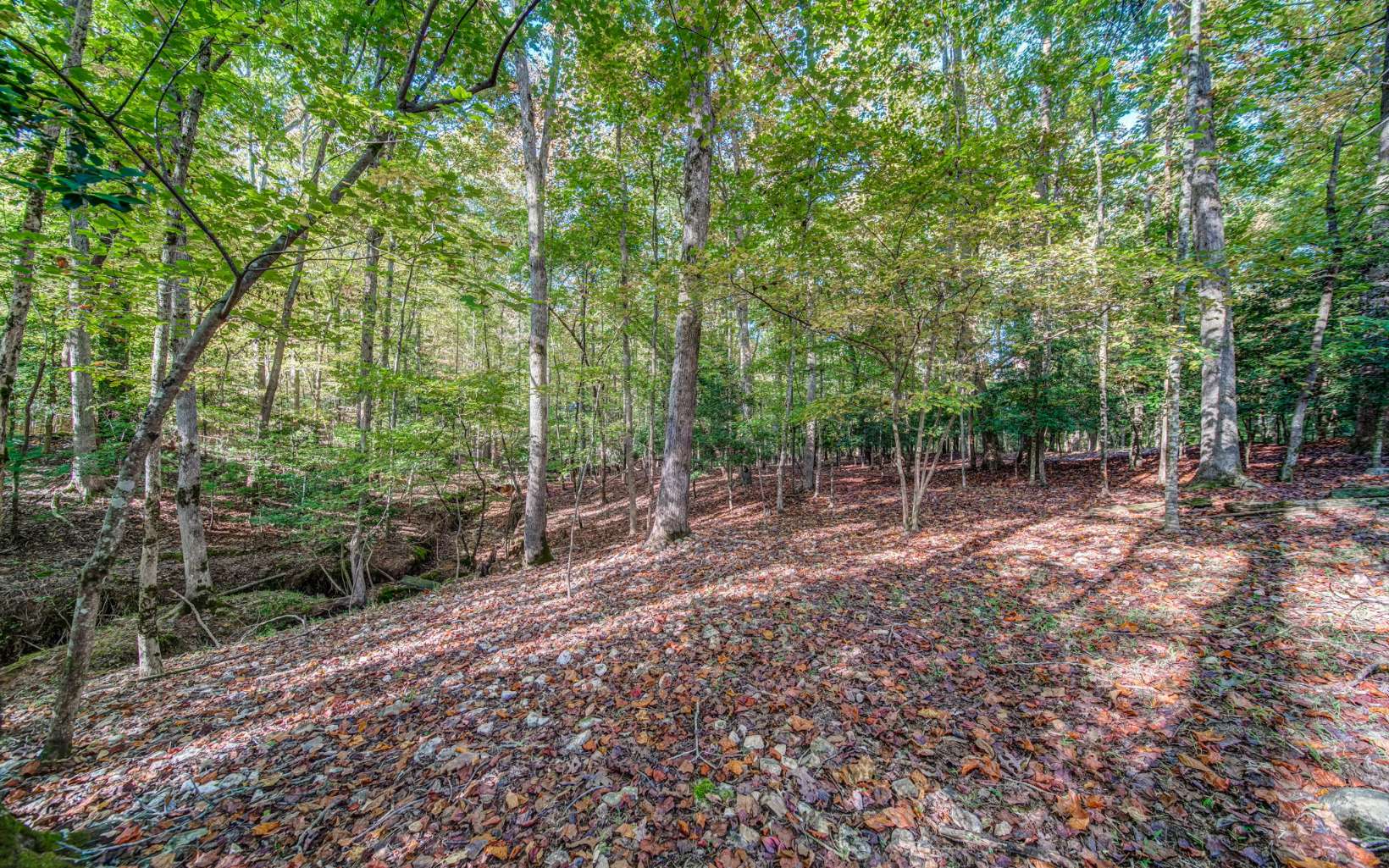 47 Aetna Way