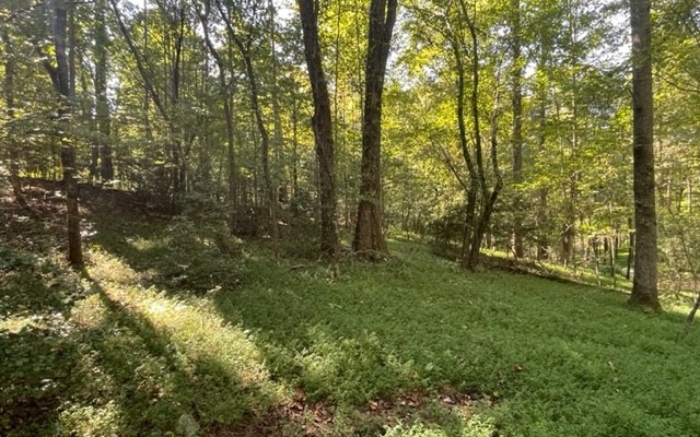 LOT 7 Clear Creek Preserve Way