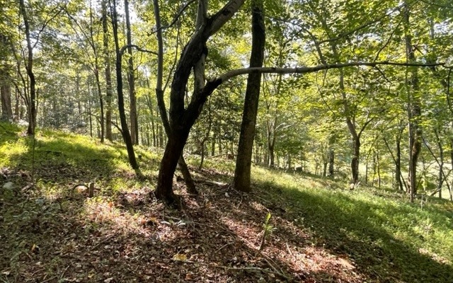 LOT 7 Clear Creek Preserve Way
