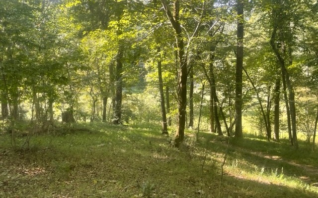 LOT 7 Clear Creek Preserve Way