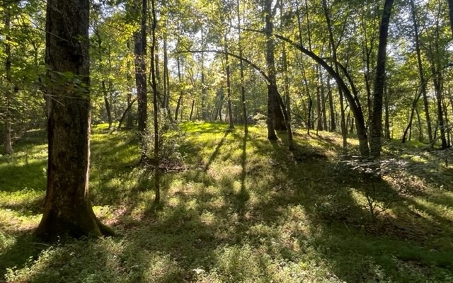 LOT 7 Clear Creek Preserve Way