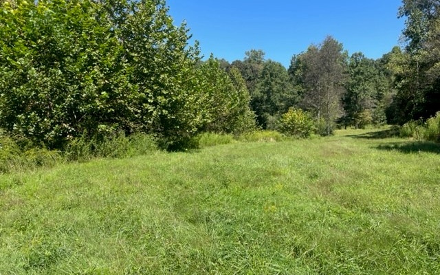 LOT 7 Clear Creek Preserve Way
