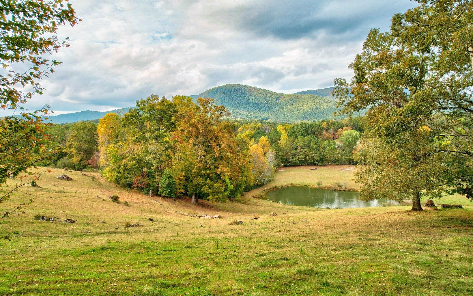 491 Goldmine Road