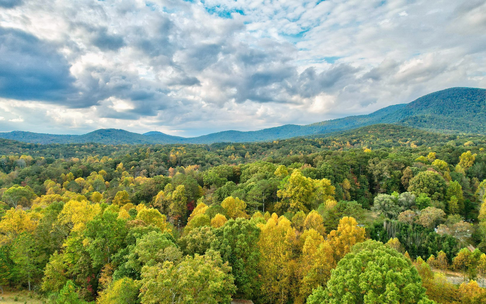 491 Goldmine Road