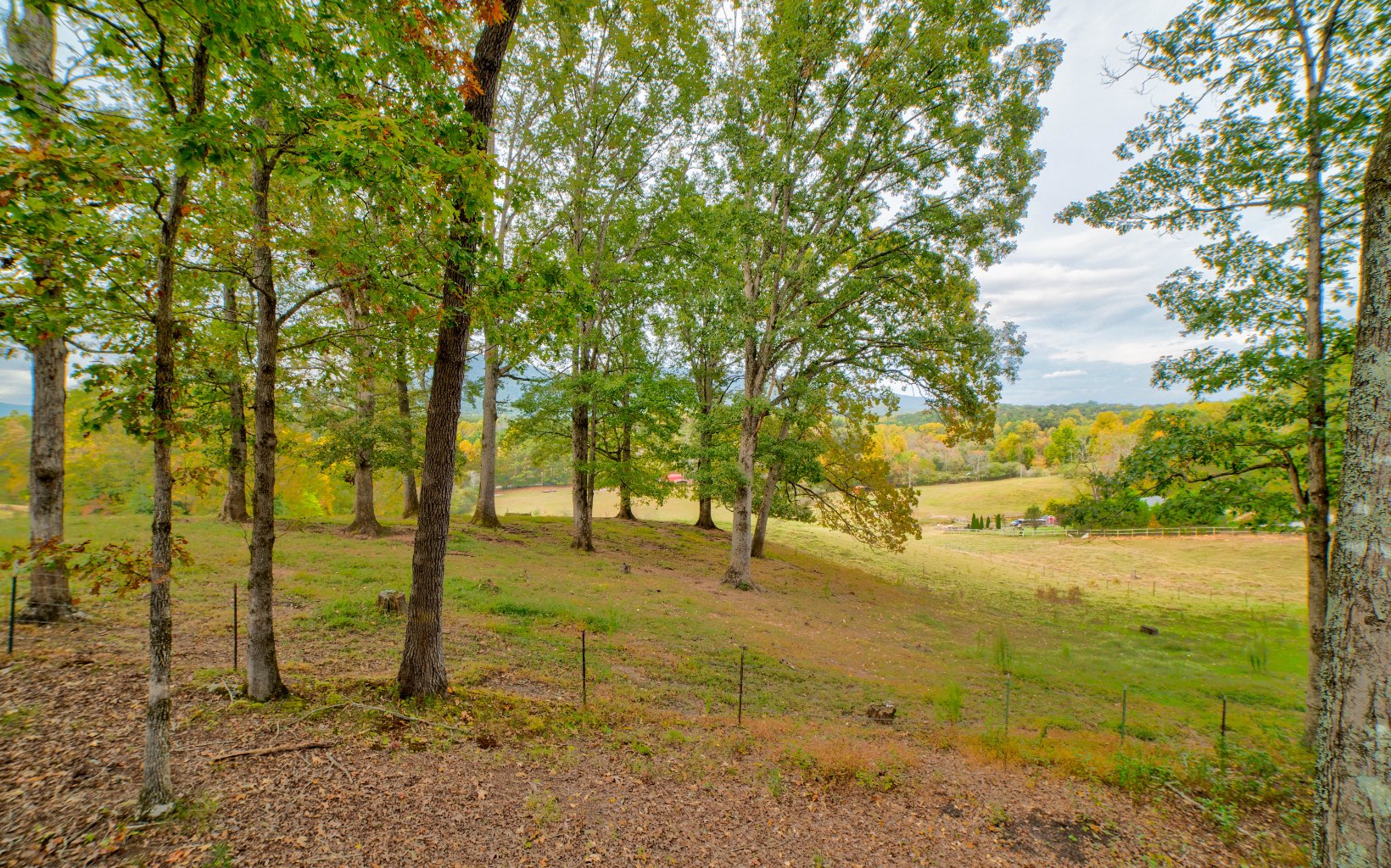 491 Goldmine Road