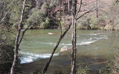 16 Glen Hollow Court