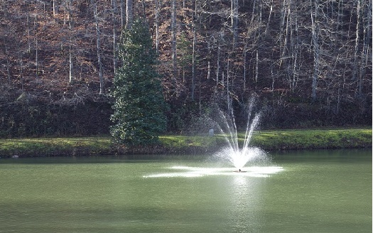 16 Glen Hollow Court