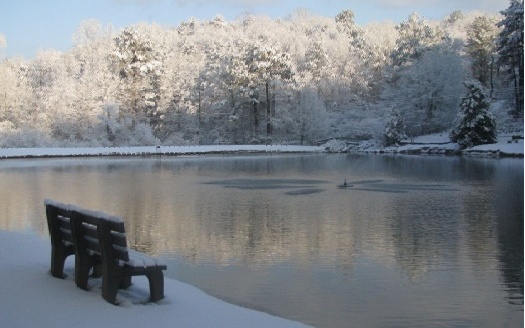 16 Glen Hollow Court