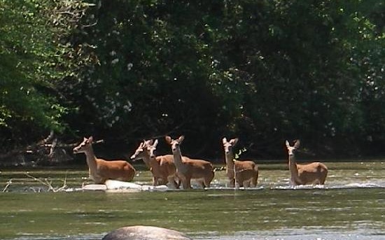 16 Glen Hollow Court