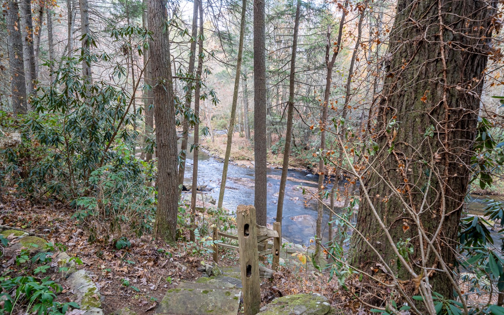 768 Ducktown Lane
