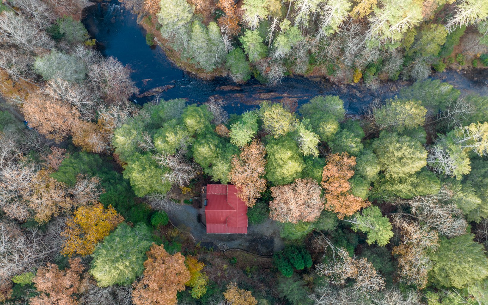 768 Ducktown Lane