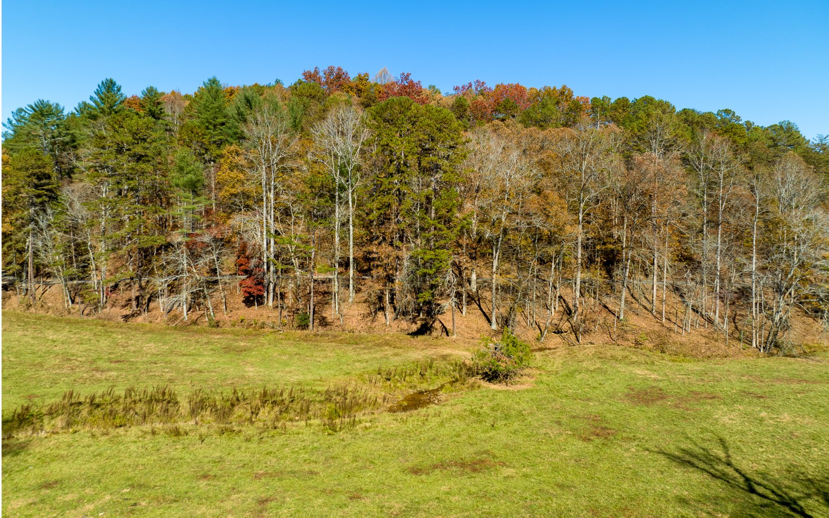 2453 Flat Branch Road
