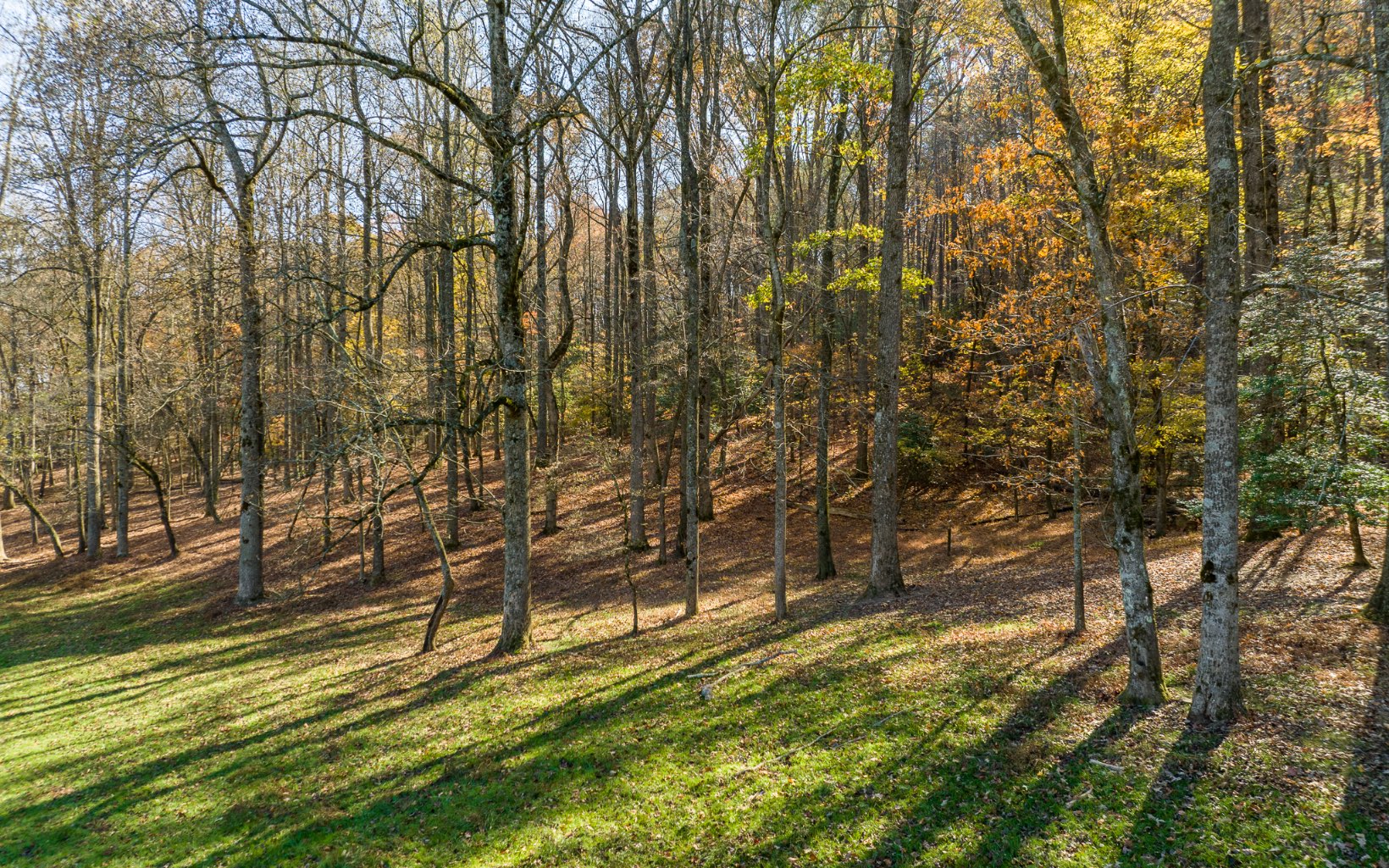 2453 Flat Branch Road