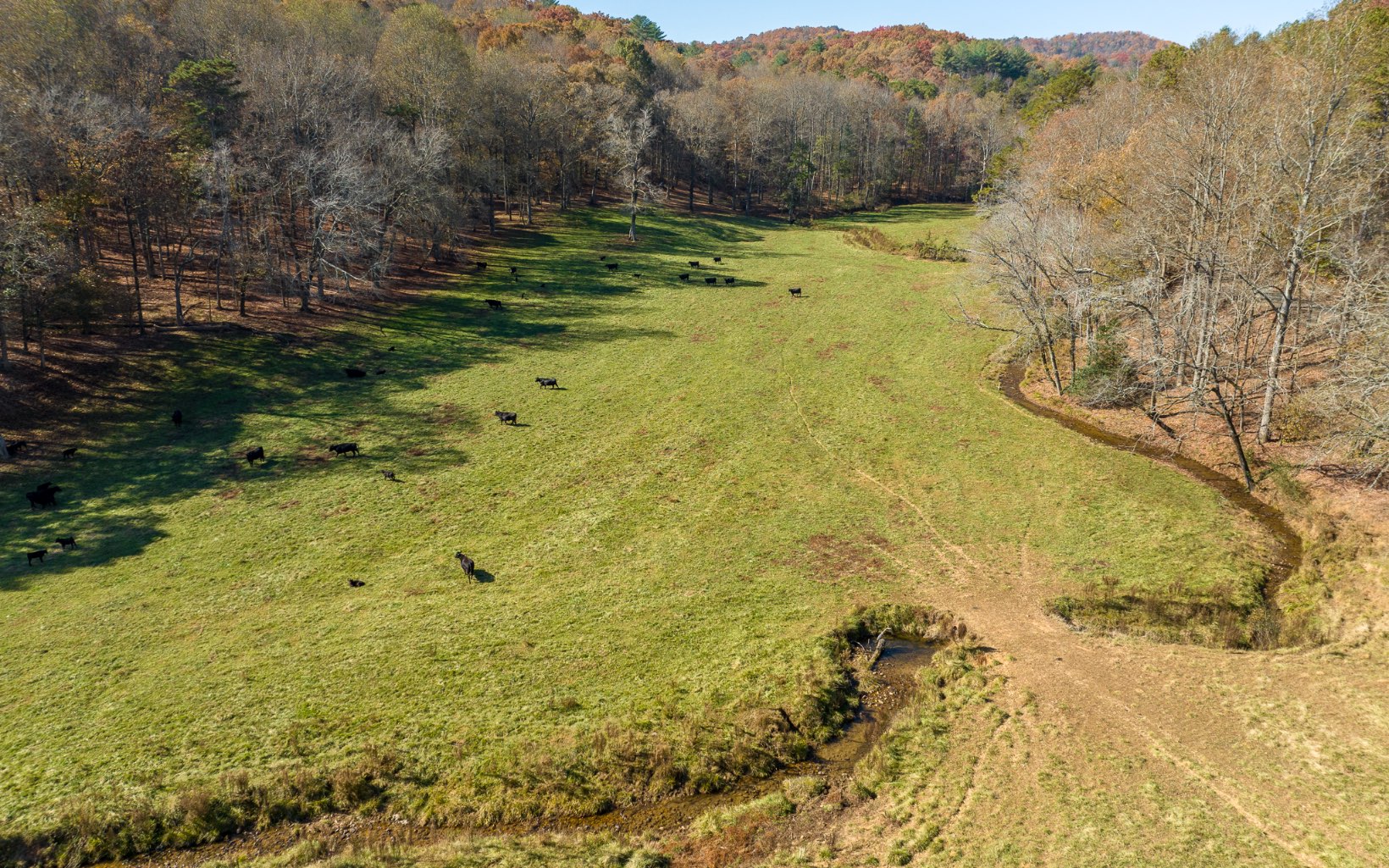 2453 Flat Branch Road