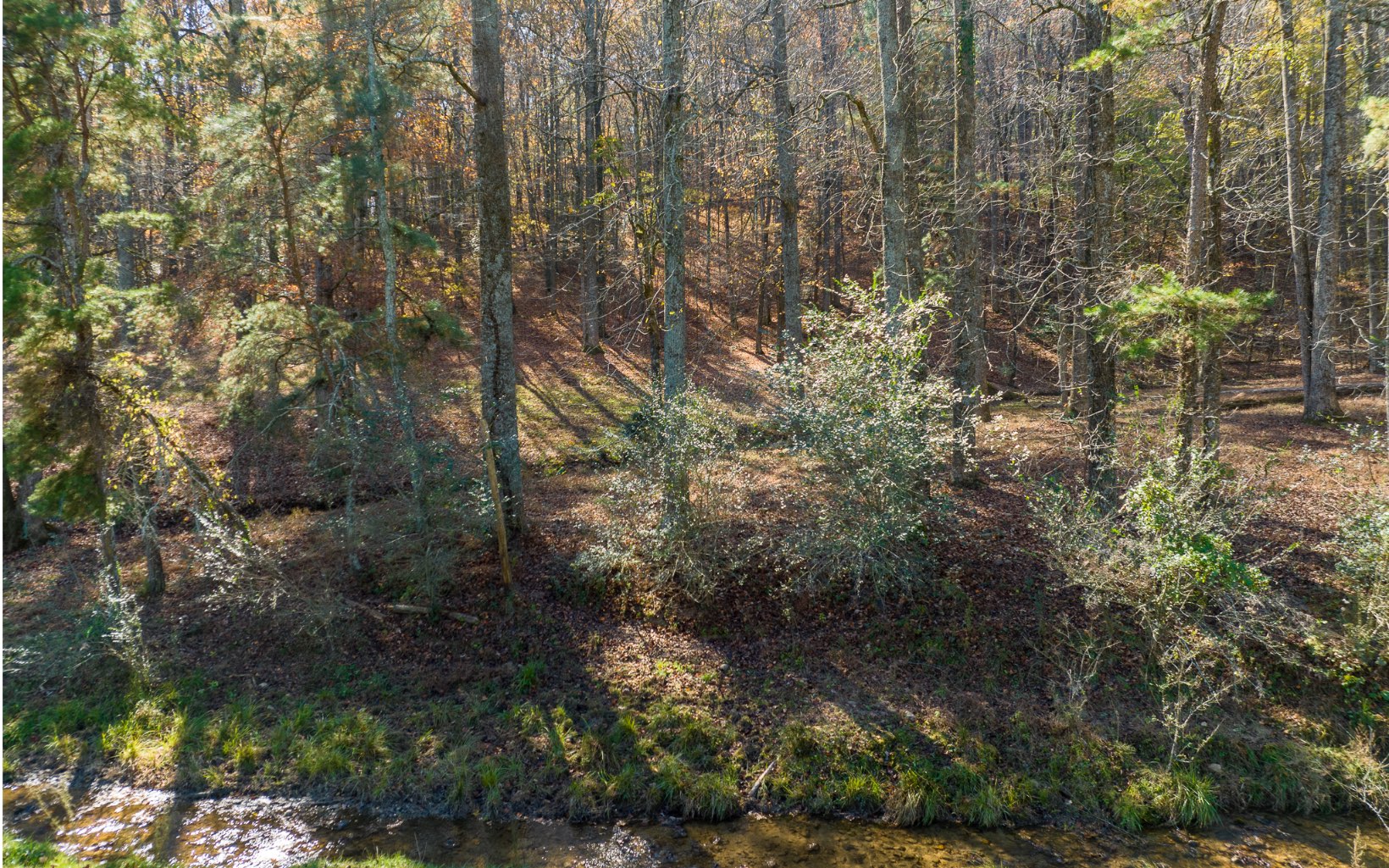 2453 Flat Branch Road