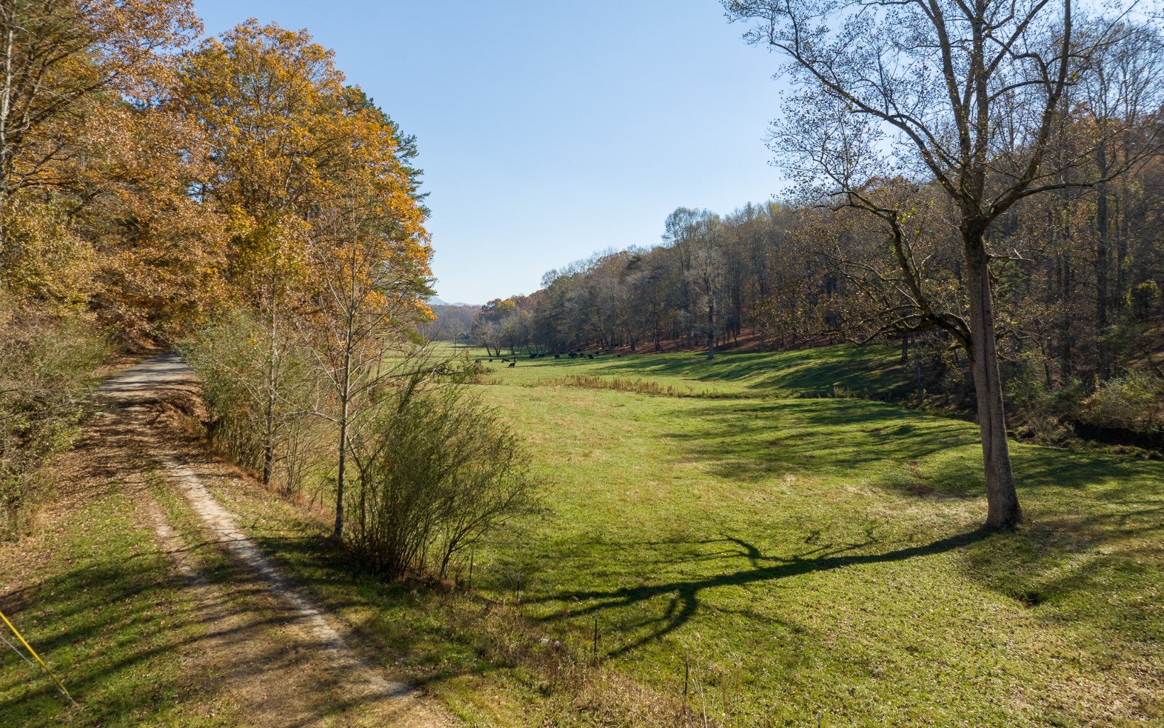 2453 Flat Branch Road
