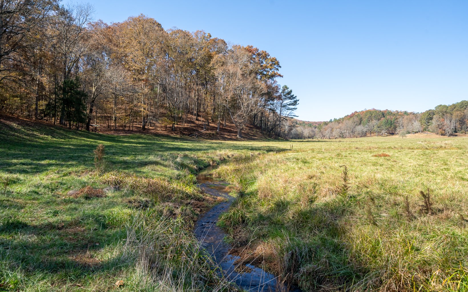 2453 Flat Branch Road