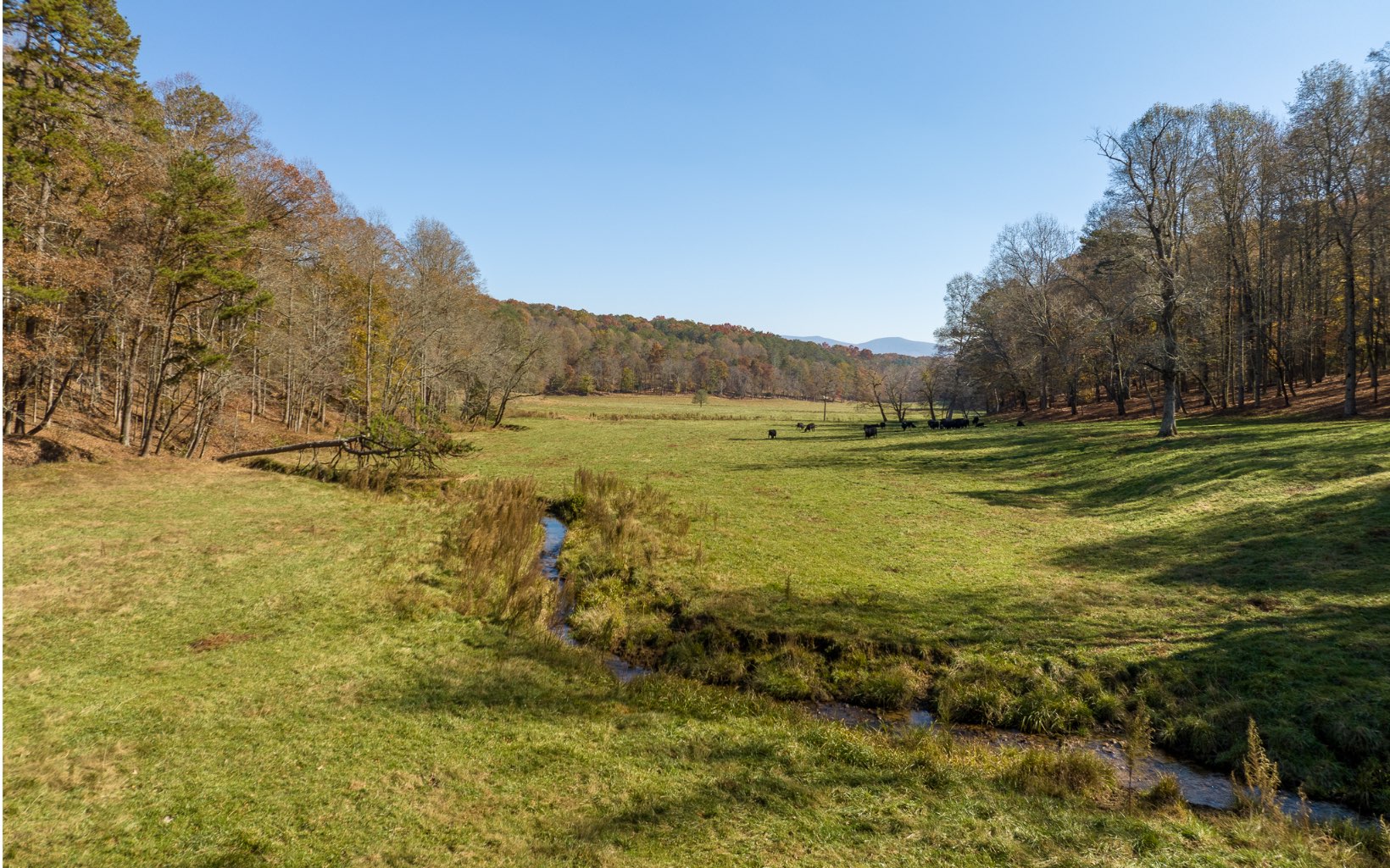 2453 Flat Branch Road