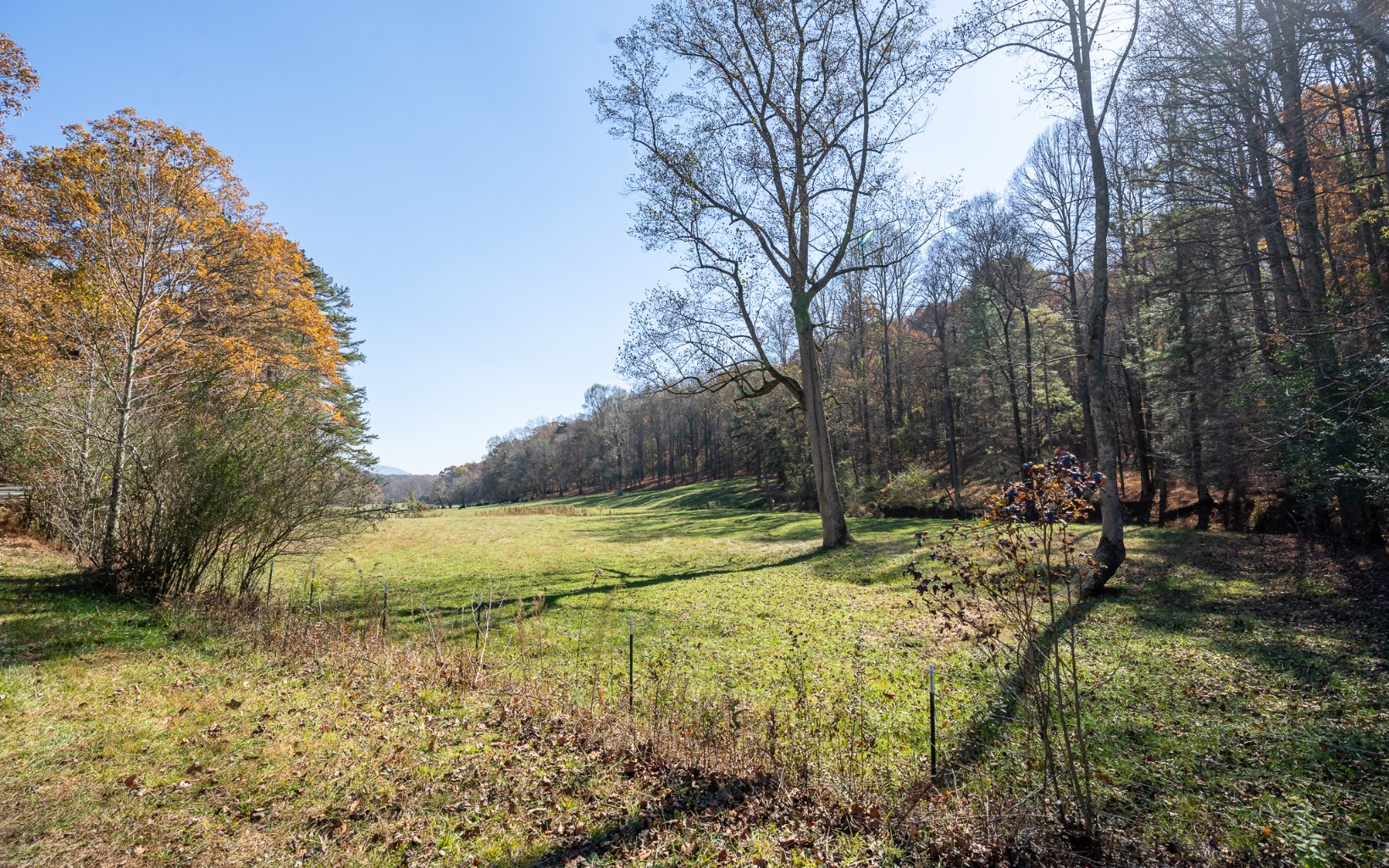 2453 Flat Branch Road
