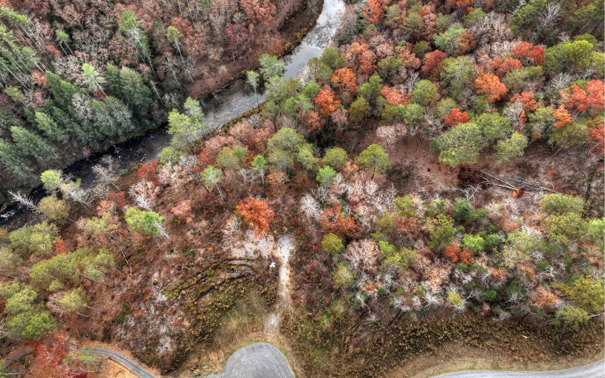 LT226 Woodstone Trail