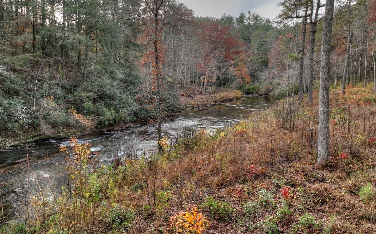 LT226 Woodstone Trail