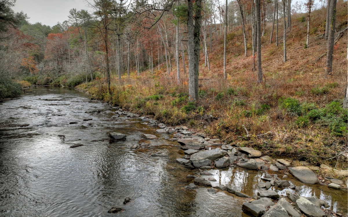 LT226 Woodstone Trail