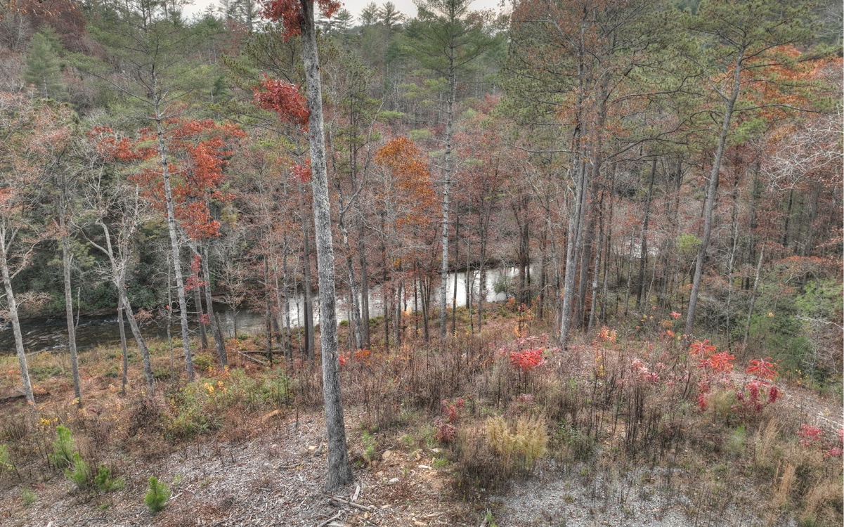 LT226 Woodstone Trail