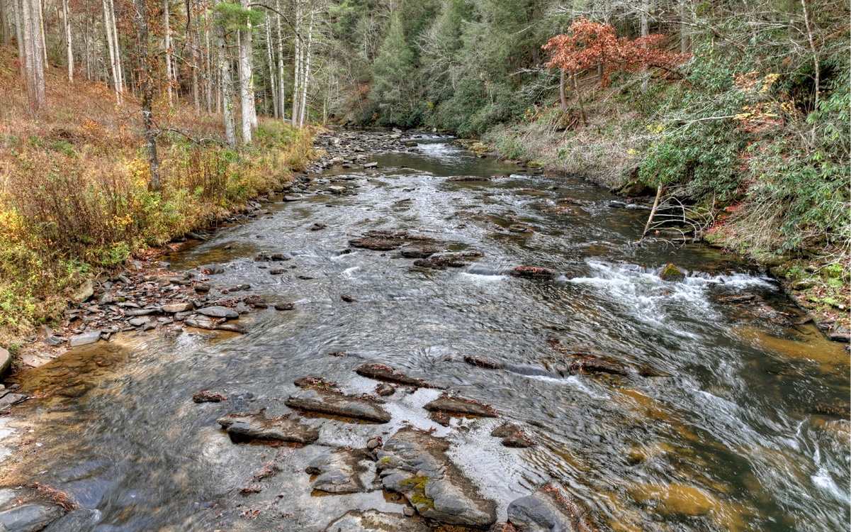 LT226 Woodstone Trail