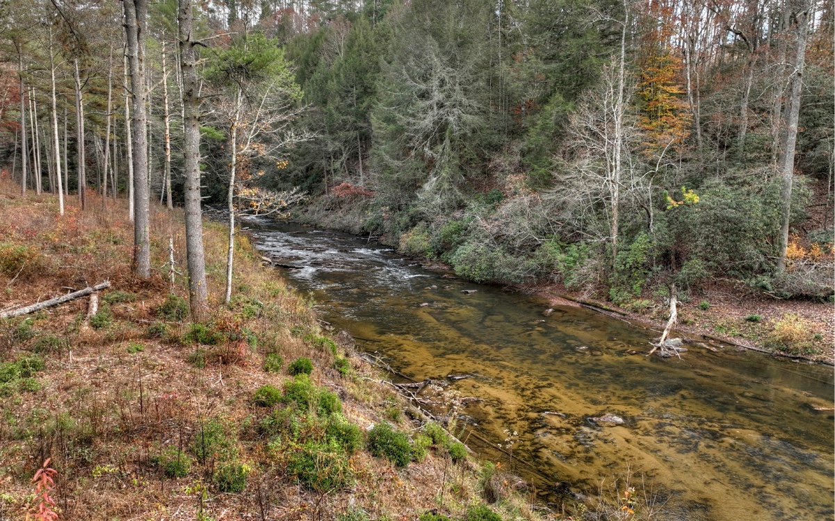 LT226 Woodstone Trail