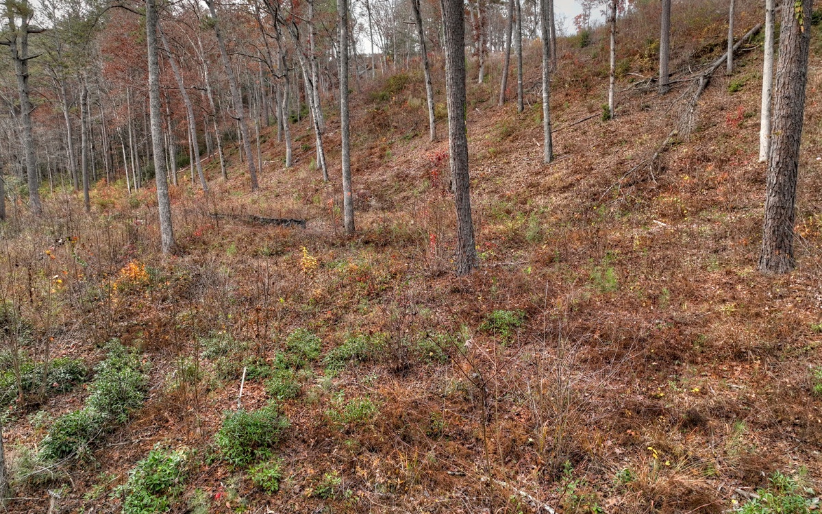 LT226 Woodstone Trail
