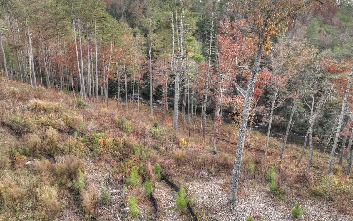 LT226 Woodstone Trail