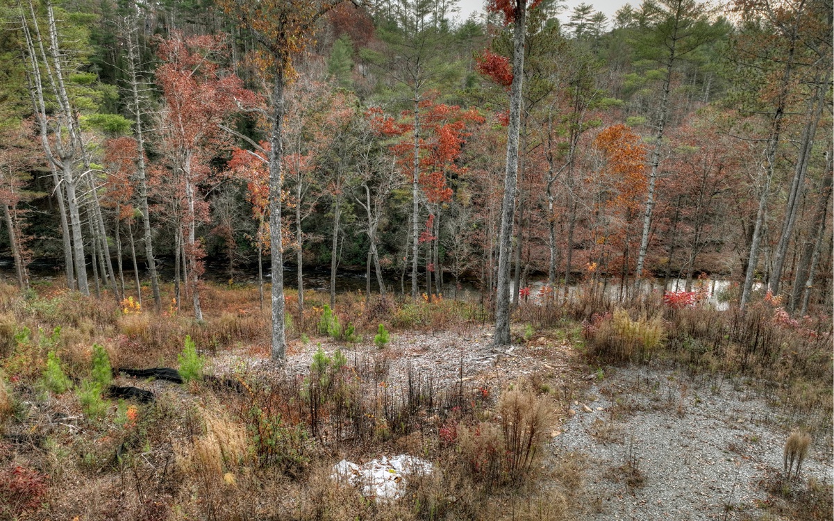 LT226 Woodstone Trail
