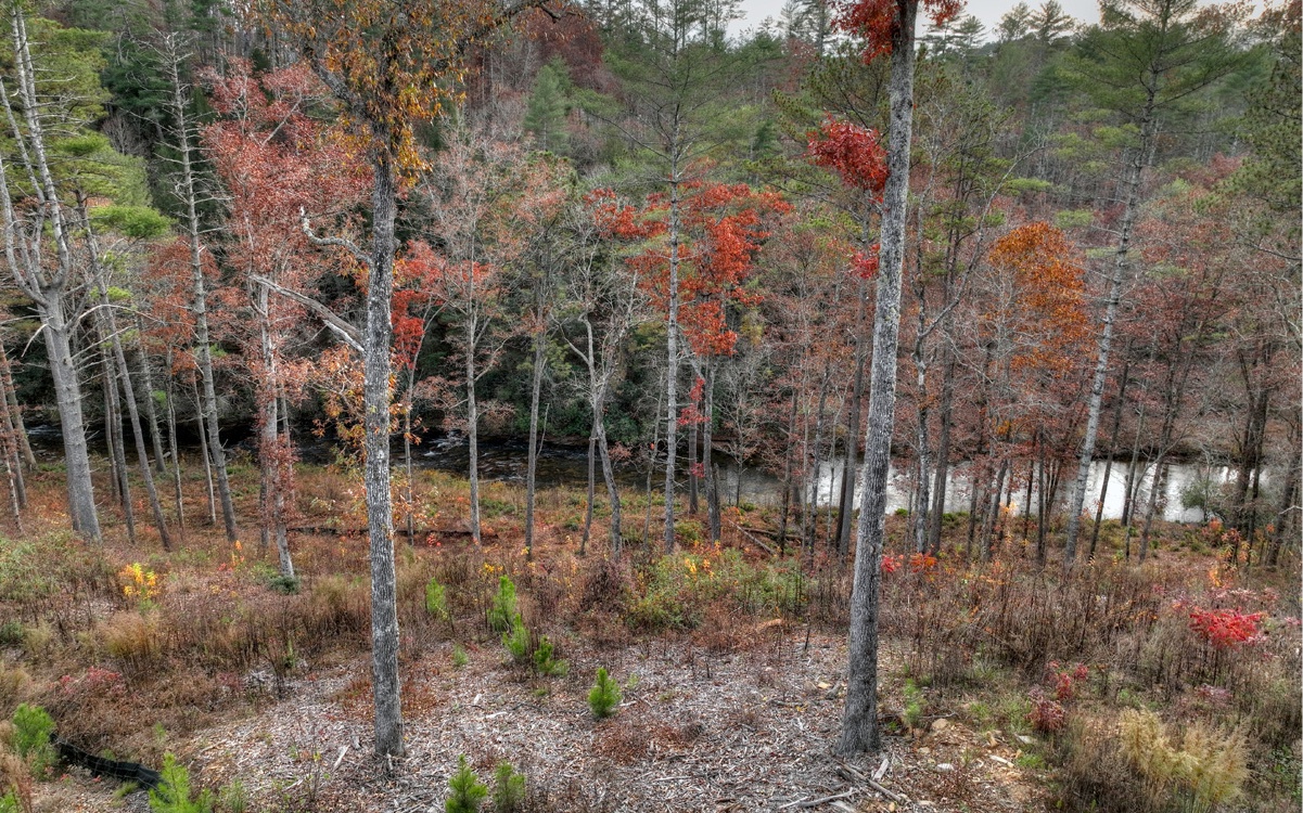 LT226 Woodstone Trail